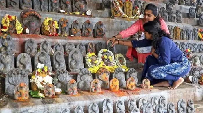 Naga Panchami, lễ hội tôn thờ rắn linh thiêng của tín đồ đạo Hindu - Ảnh 1.