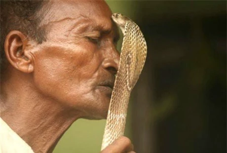 Naga Panchami, lễ hội tôn thờ rắn linh thiêng của tín đồ đạo Hindu - Ảnh 3.