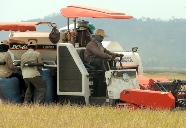 Bơm vốn rẻ giúp doanh nghiệp ‘cứu’ ngành hàng nông sản
