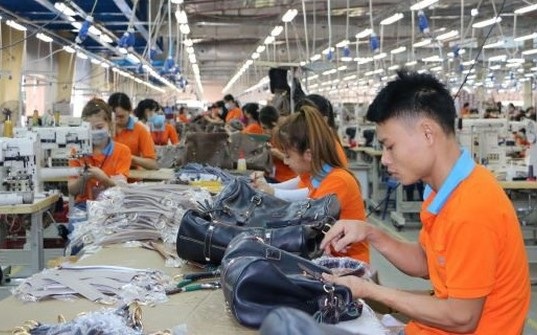 Quảng Ngãi: Đẩy mạnh hỗ trợ gói vay trả lương ngừng việc để phục hồi sản xuất, kinh doanh 