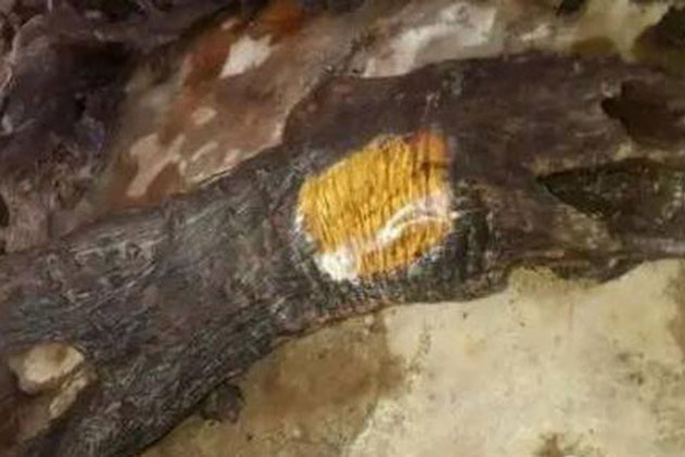 Tìm thấy khúc gỗ hình người quái dị nằm lăn lóc trong góc núi, chuyên gia tức tốc vào cuộc: Bất ngờ phát hiện vụ việc liên quan đến đại tội của Hòa Thân!