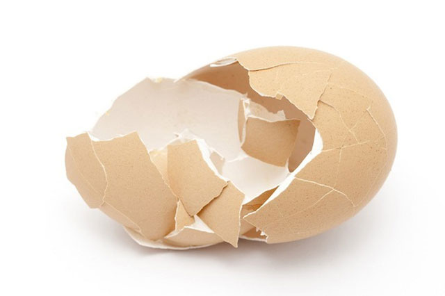 Biến vỏ trứng thành vật liệu để sản xuất xương nhân tạo