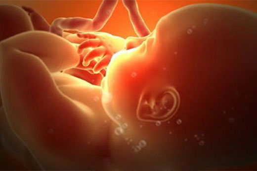 Mẹ bầu 3 tháng đầu phải nhớ những điều này nếu không muốn hại con