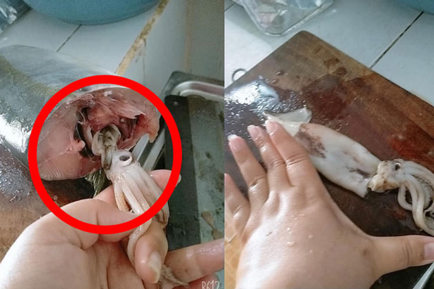 Mổ bụng con cá mới mua, cô gái gặp được niềm vui bất ngờ và cái kết đầy thú vị