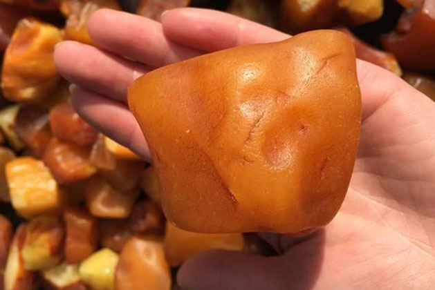 Đổi đời chỉ sau một đêm nhờ viên đá lạ, anh nông dân gây 'tội lớn' vì khiến cả làng sôi sục đòi phá rừng!