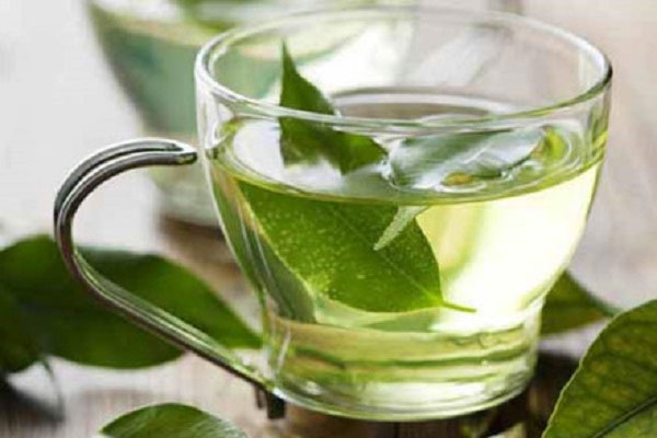 Trà xanh có tác dụng gì mà rất nhiều người có thể giảm cân siêu tốc?