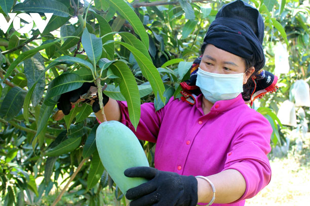 Nông sản lên “sàn” - tín hiệu mới trong chuyển đổi số nông nghiệp