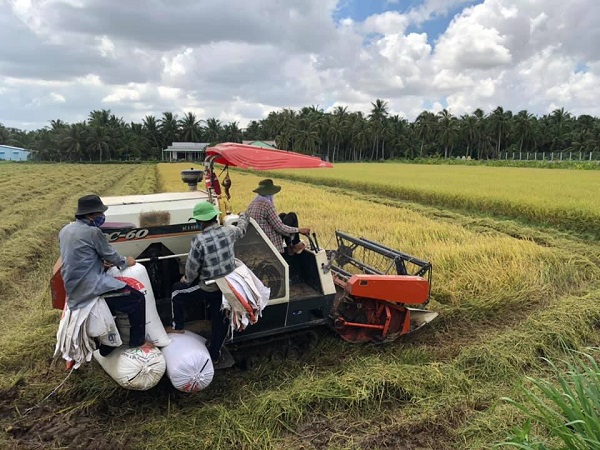 Đồng Tháp: Duy trì tỉ lệ thất nghiệp chung ở mức dưới 1%