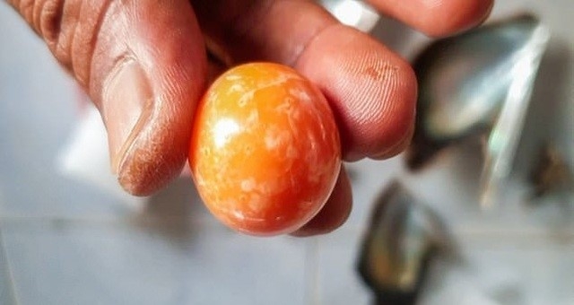 Mua ốc ngoài chợ về ăn, cô gái vô tình phát hiện báu vật tiền tỷ