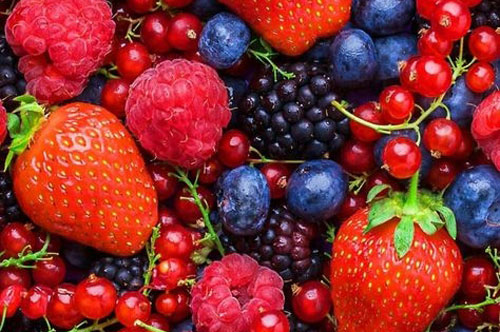 Ăn trái cây khi đói để giảm cân giữ dáng, đúng đắn hay sai lầm?