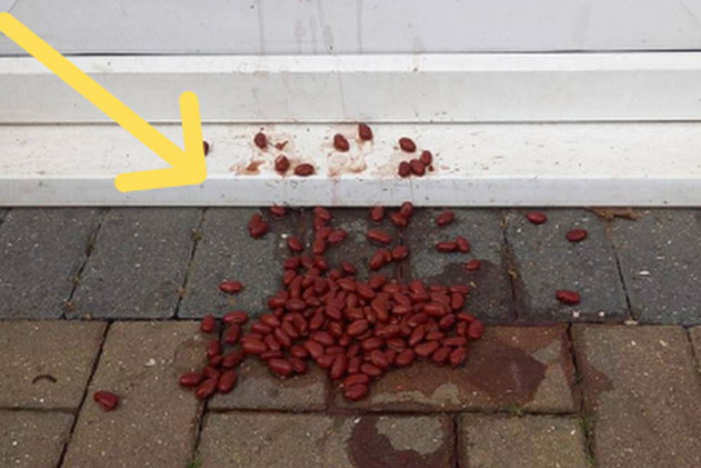 Sáng ra cửa thấy đống vương vãi kỳ lạ, người phụ nữ tìm hiểu mới run rẩy phát hiện đang gặp nguy hiểm, dân mạng biết được liền chia sẻ rần rần