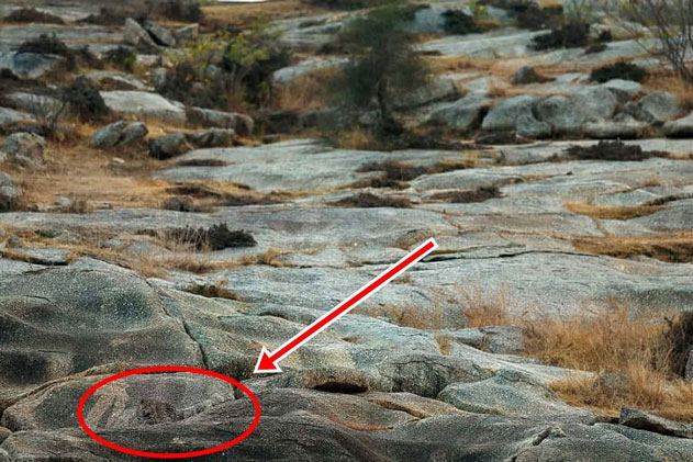 Vừa đăng 1 bức ảnh lên mạng, người phụ nữ toát mồ hôi khi biết mình vừa thoát chết sau khi 1 người bạn phóng to lên xem