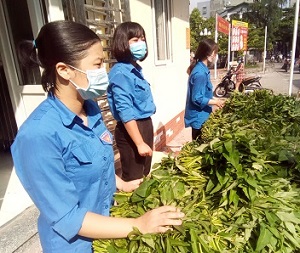 Trao hàng trăm bó rau đến tay người dân