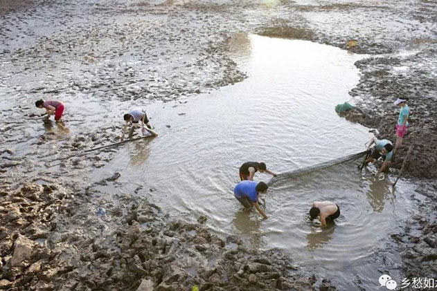 100kg cá chép trong ao bỗng nhiên biến mất, bác nông dân hút cạn ao thì thấy cảnh tượng ngỡ ngàng: Lập tức báo cảnh sát!