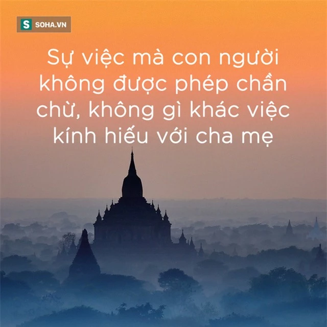 Gọi cho 6 người con nhưng chỉ cậu út đến đón, người cha trước khi chết đã làm 1 việc khiến 5 người con còn lại phải xấu hổ - Ảnh 6. Gọi cho 6 người con nhưng chỉ cậu út đến đón, người cha trước khi chết đã làm 1 việc khiến 5 người con còn lại phải xấu hổ - Ảnh 6.