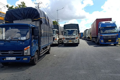 Cần xóa ngay giấy phép con hành doanh nghiệp