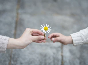 8 dấu hiệu cho biết bạn đã trưởng thành
