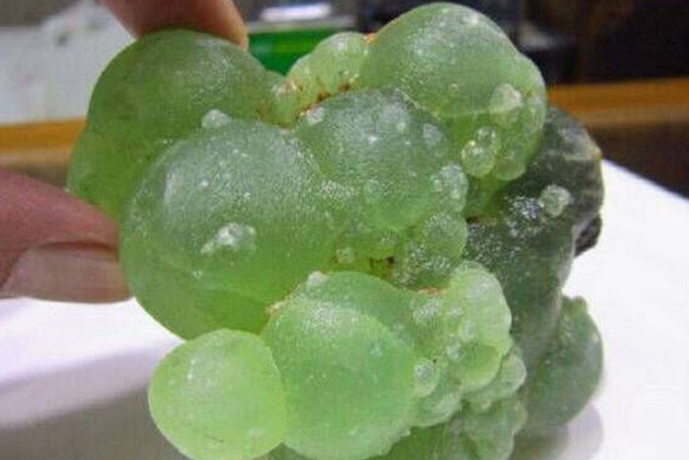 Đang cắt cỏ thì thấy 1 hòn đá lạ trong bụi rậm, nhặt mang về nhà, mới đi được nửa đường người phụ nữ đã biết mình sắp phát tài