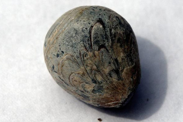 Viên đá đột nhiên "đổi màu" khi gặp nước, người đàn ông nửa mừng nửa lo không biết mình đã nhặt về thứ gì