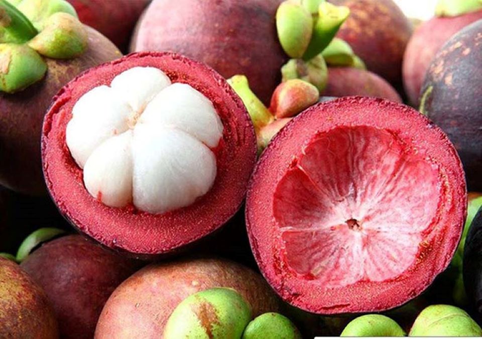 Bí quyết chọn măng cụt chuẩn, ngon ngọt và không bị sượng