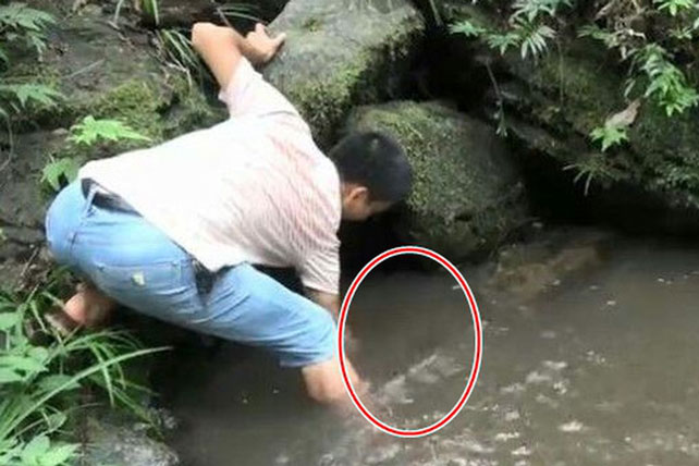 Đi câu cá thì phát hiện 'nhiều con mắt nhìn chằm chằm', nhóm bạn trẻ đánh liều mang về và kinh ngạc vì kết quả