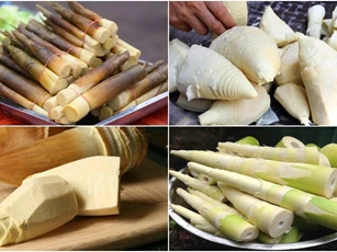 Cách đơn giản khử độc măng tươi
