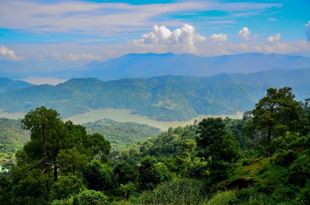 Ban Quản lý Rừng phòng hộ Minh Hóa thực hiện Phương án sử dụng đất đã được phê duyệt, có trách nhiệm theo dõi, quản lý việc thực hiện Phương án sử dụng đất của Ban Quản lý Rừng phòng hộ Minh Hóa theo chức năng, nhiệm vụ được giao.