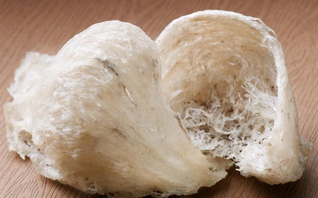 Mẹo phân biệt tổ yến thật - tổ yến giả