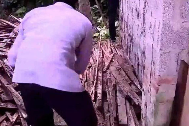 Hoảng hốt phát hiện 1 con rắn trong đống gỗ sau nhà, thứ mà con vật nhả ra từ trong miệng càng khiến ông lão chết khiếp