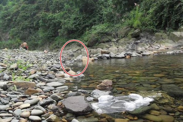 Đi câu cá nhặt được ngọc phỉ thúy, bán giá 7 tỷ: Điều xảy ra sau cuộc mua bán lại càng gây kinh ngạc