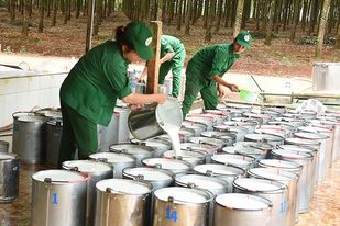 VRG tái cơ cấu toàn diện sau cổ phần hóa