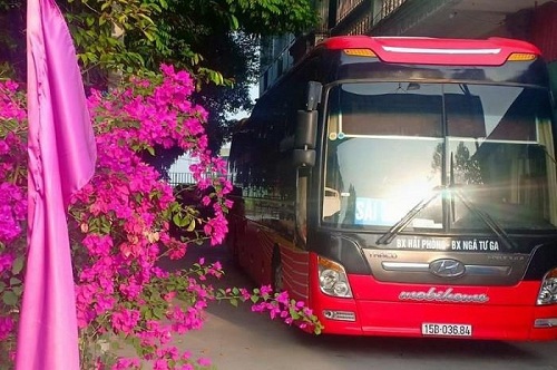 Hải Phòng: Khởi tố vụ án xe khách chạy "chui" làm lây lan dịch COVID-19 khiến 3 xã bị phong tỏa