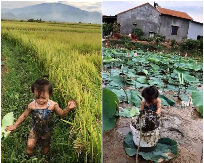 Đi vắng một lúc để con tự trông nhau, mẹ suýt ngất khi thấy con nhỏ được bế từ đầm sen lên - Ảnh 2.