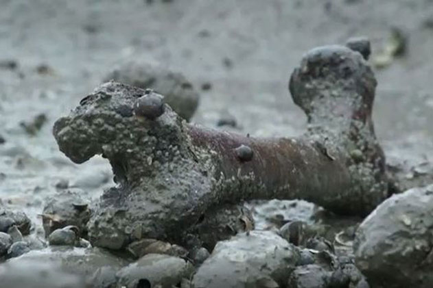 Khám phá hòn đảo chết chóc với xương cốt và quan tài "lộ thiên" la liệt khắp nơi: "Không nơi nào trên Trái đất có cảnh tượng như thế này"