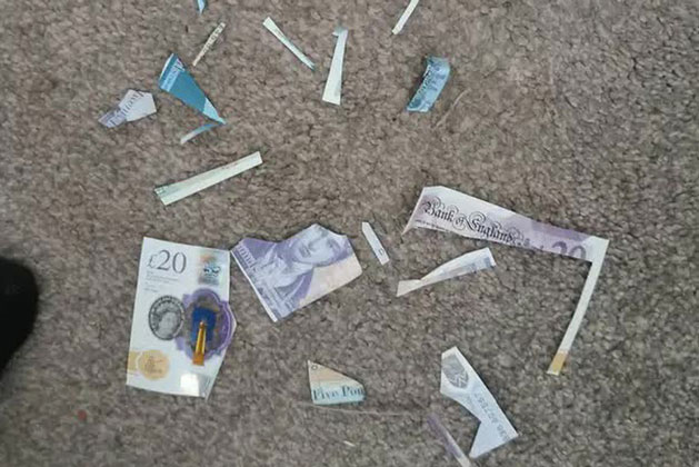 Thấy tiền của mình tự nhiên bị cắt vụn, bà mẹ suýt xỉu khi tìm thấy nguyên do trong phòng con gái cưng