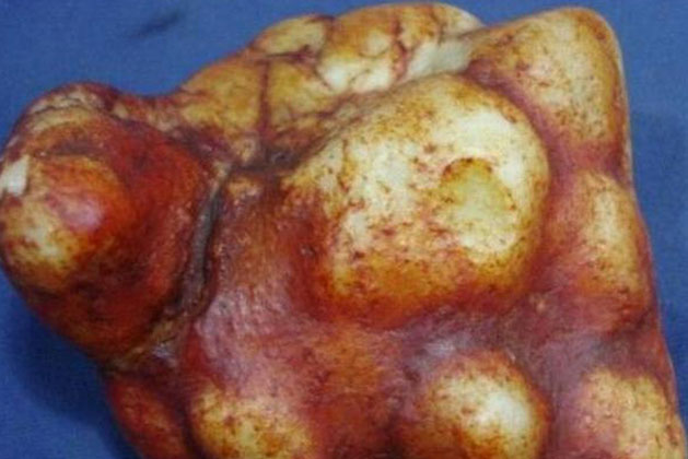 Đào trúng “củ gừng” đặc biệt, ông lão đã làm 1 việc rất khôn ngoan: 350 triệu VND suýt 'bay vào túi' lão chủ tiệm vàng tham lam