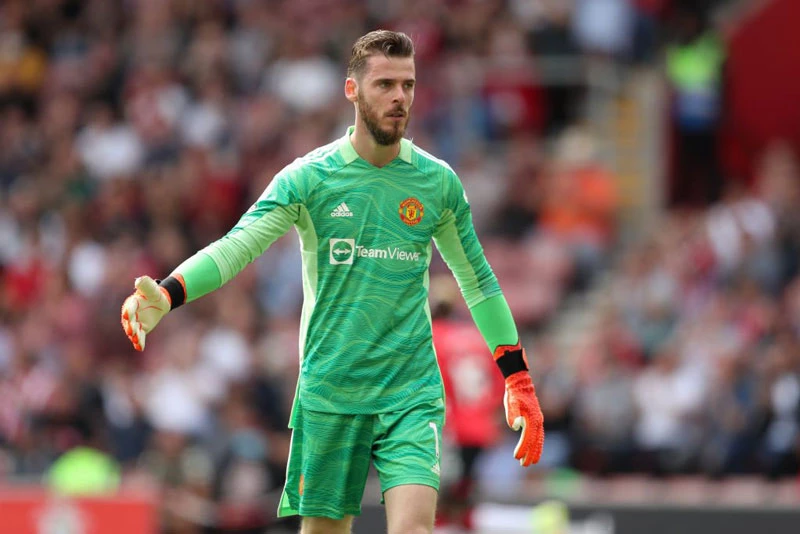 Thủ môn: David De Gea.