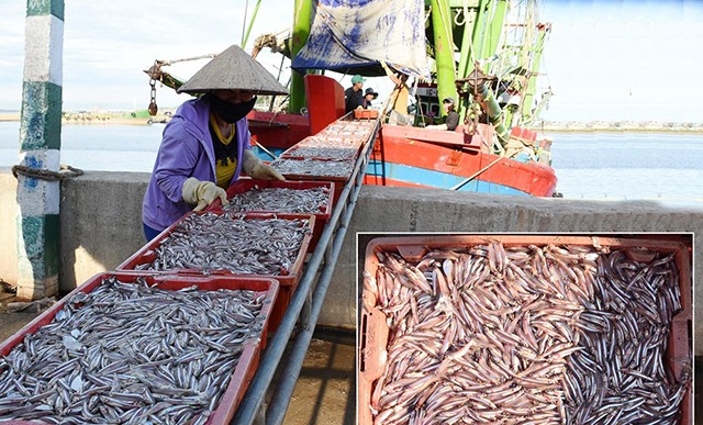 Nghệ An phê duyệt xây dựng Cảng thủy nội địa tổng hợp Quỳnh Lộc