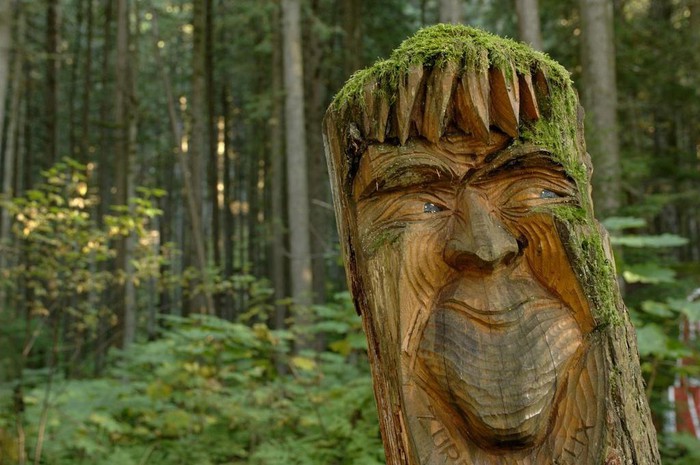 Khu rừng đẹp như trong truyện cổ tích, không chỉ trẻ em mà người lớn cũng mê vô cùng