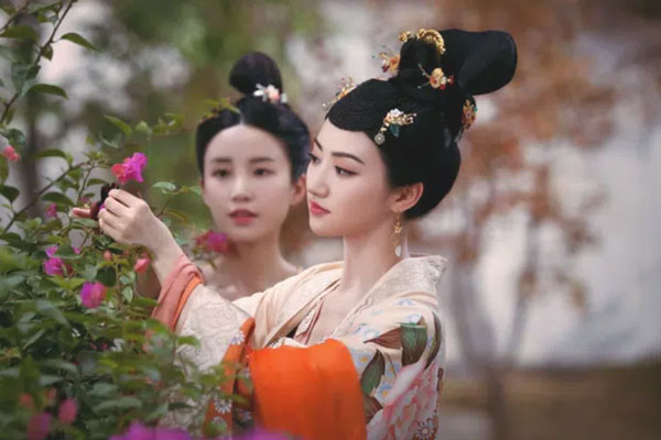 Hậu cung nhà Đường có một chế độ thị tẩm đặc biệt khiến Hoàng đế ban đầu rất phấn khích, nhưng dần dần lại phải giả vờ bệnh để tránh né mỹ nhân