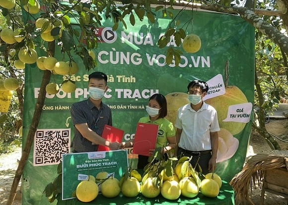 Lập nhóm Zalo theo huyện giúp nông dân bán na, bưởi trên sàn thương mại điện tử