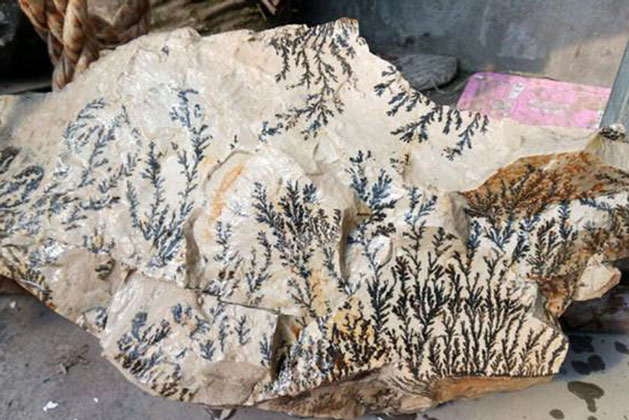 Đăng ảnh tảng đá đẹp như tranh thủy mặc, chàng trai khiến cư dân mạng “dậy sóng” vì lai lịch của nó