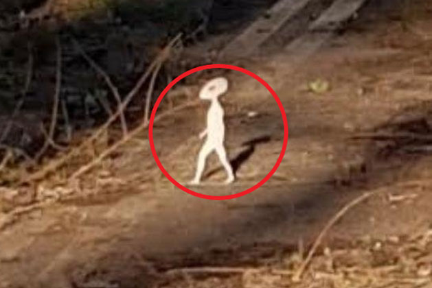 Dắt chó đi dạo tiện tay chụp vài bức ảnh, đến khi về nhà xem lại người phụ nữ không khỏi giật mình