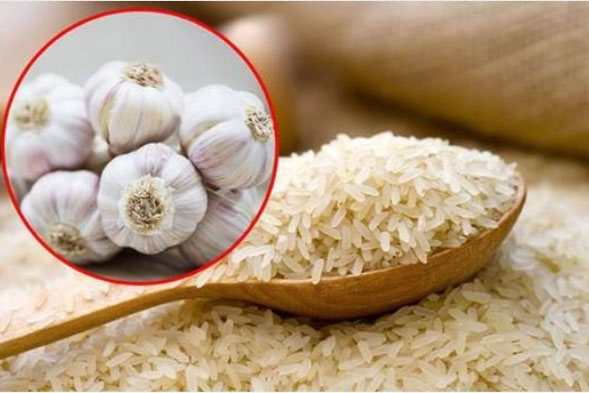 Điều bất ngờ xảy ra khi bảo quản gạo bằng tỏi