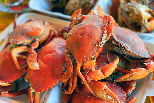 Tỉnh nào nổi tiếng với đặc sản cua biển, tôm càng xanh?