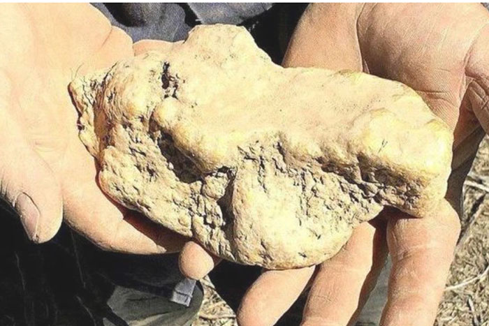 Mang cục sắt khá nặng trên núi về tính bán đồng nát, đến khi rửa sạch, người đàn ông nhảy cẫng lên sung sướng khi nhận ra đó là thứ gì