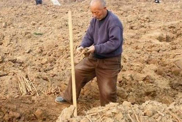 Ông lão đào được thanh kiếm khắc 3 ký tự đặc biệt nhưng lại đem về làm bếp, người dân phỏng đoán: Là Thượng phương bảo kiếm?