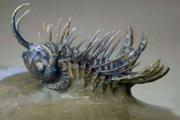 Bất ngờ nhặt được viên đá kỳ lạ, người đàn ông đưa cho chuyên gia: Hôm sau, họ kéo đến tận nhà!