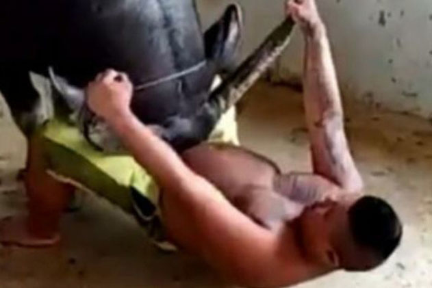 Nghe thấy tiếng kêu lạ ngoài sân, mở cửa ra xem, chàng trai suýt chút nữa mất mạng