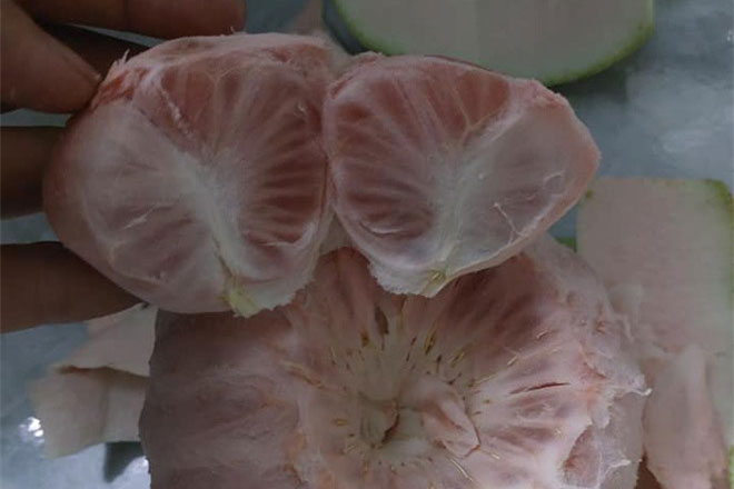 Bổ quả bưởi thấy “dị vật” bên trong, cô nàng lo lắng đăng hỏi thì nhận được câu trả lời bất ngờ: “Lời to rồi!”